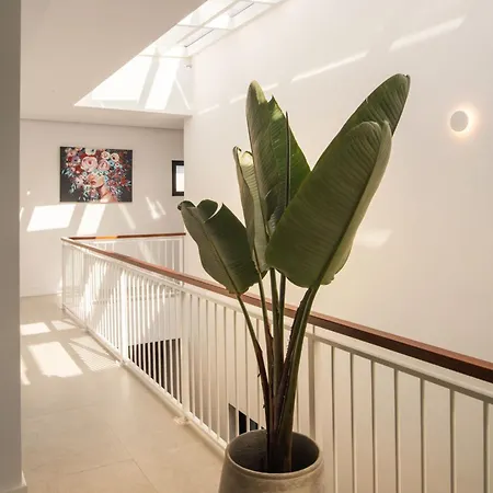 Odin By Buenavilla Puerto Calero