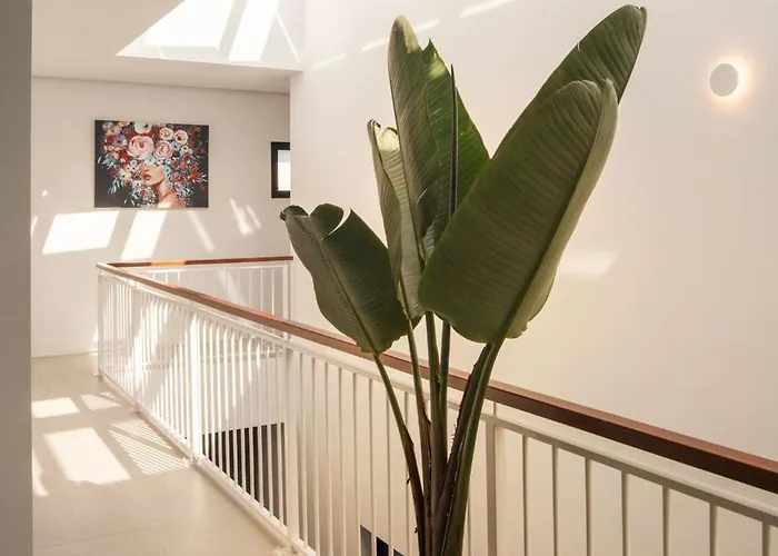 Odin By Buenavilla Puerto Calero